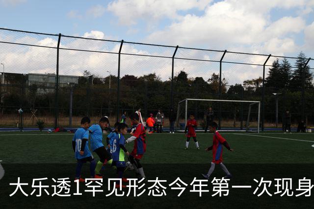 大乐透1罕见形态今年第一次现身 后区这么选？